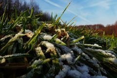 Schnee und Eis nachts