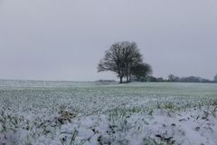 Nur an Karneval war es schlimmer...