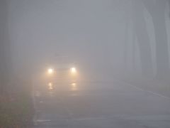 Nebelwand und Laubrutschbahn