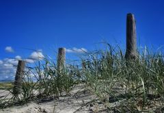 Wetter Erlangen - 30-Tage-Vorhersage - Donnerwetter.de