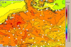 Frühling pur zum Feiertag?