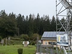 Borkenkäfer und Hitze: Fichtensterben vor unserer Wetterstation